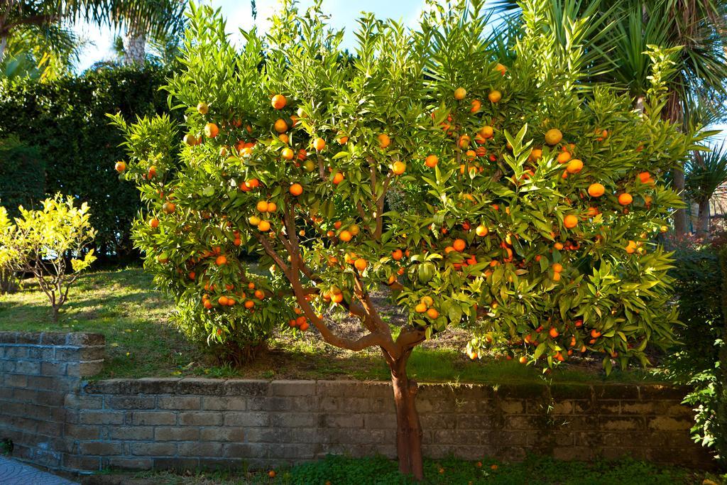 Aquilamaior Tragliata Exterior photo
